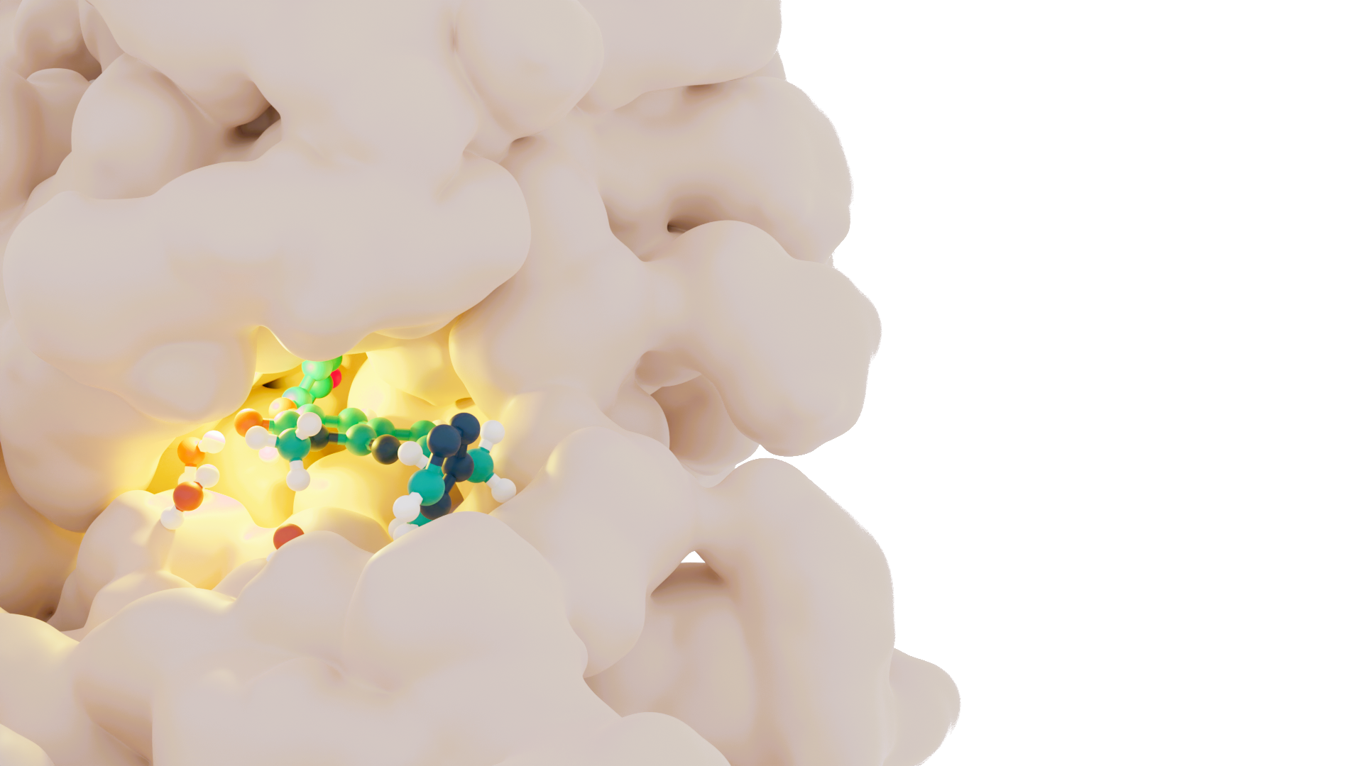 Ligand in the binding pocket of a protein